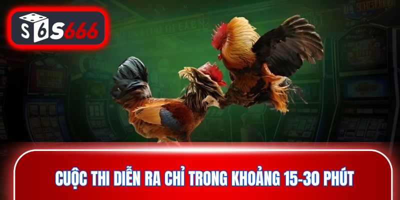 Cuộc thi diễn ra chỉ trong khoảng 15–30 phút