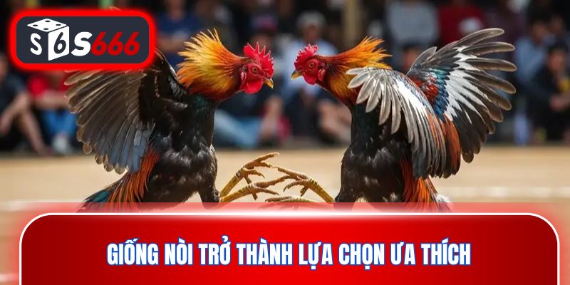 Giống nòi trở thành lựa chọn ưa thích của nhiều tay chơi