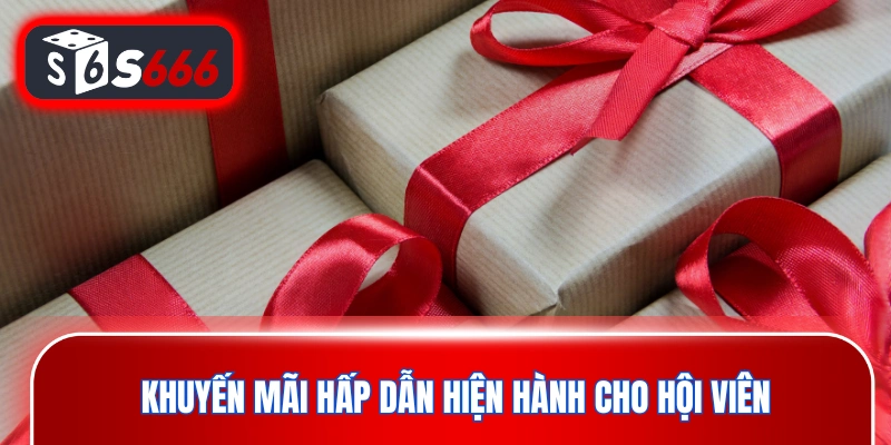Khuyến mãi hấp dẫn hiện hành tại nhà cái cho hội viên