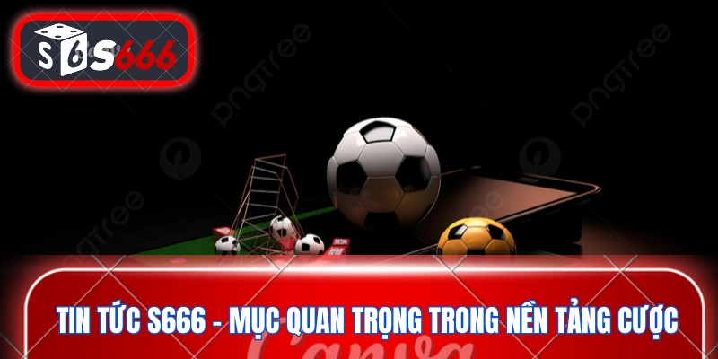 Tin tức S666- mục quan trọng trong nền tảng cược