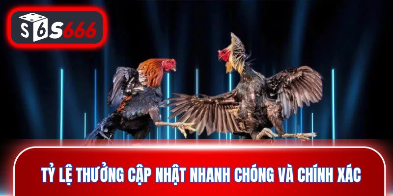 Tỷ lệ thưởng cập nhật nhanh chóng và chính xác